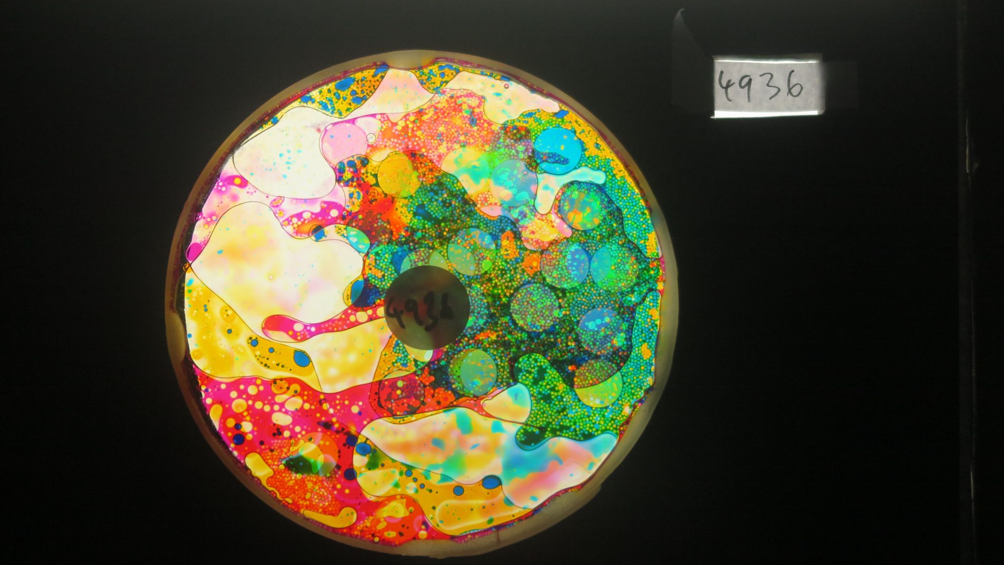 BV4936 bubble vision oil wheel